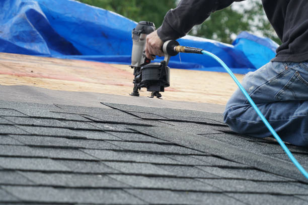 Best Flat Roof Repair Services  in Kualapuu, HI