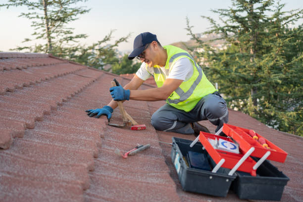 Best Metal Roofing Contractor  in Kualapuu, HI